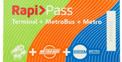 Metro Bus Card